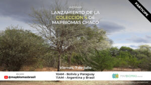 Lançamento Coleção 4 | MapBiomas Chaco