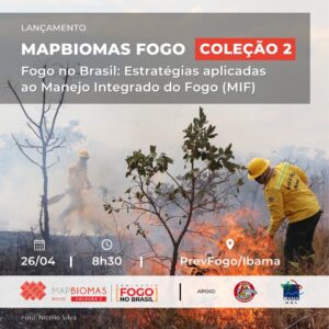 Lançamento Coleção 2 | MapBiomas Fogo
