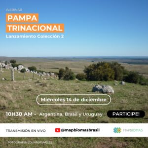 Lançamento Coleção 2 | MapBiomas Pampa