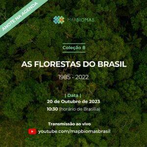 Webinar “As florestas do Brasil”