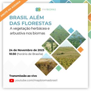 Brasil além das florestas