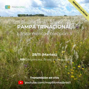 Pampa Trinacional - Lanzamiento Colección 3