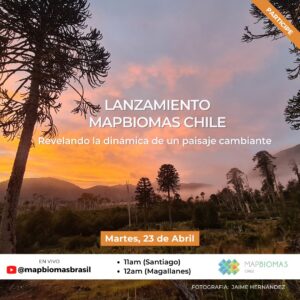 MapBiomas Chile: Revelando la dinámica de un paisaje cambiante