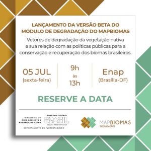 Lançamento da versão beta do módulo de degradação do MapBiomas
