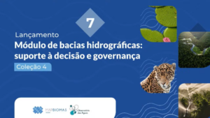 Lançamento Coleção 4 MapBiomas Água