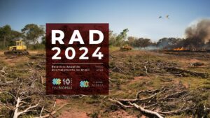 Lançamento do RAD2024 - Relatório Anual do Desmatamento no Brasil