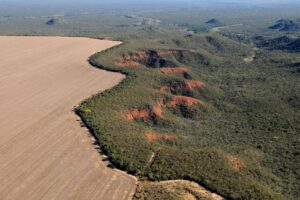MapBiomas lança RAD2024 - Relatório Anual do Desmatamento no Brasil, em Brasília