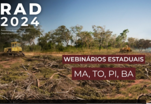Webinar estadual RAD2024 – MA, TO, PI, BA
