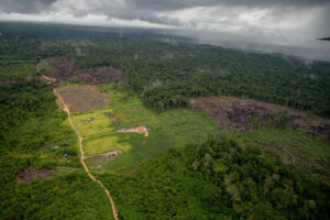 Amazônia perdeu quase 50 milhões de hectares de florestas nos últimos 40 anos 
