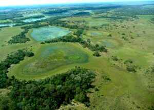 Pantanal tem redução de 75% na frequência anual de áreas alagadas