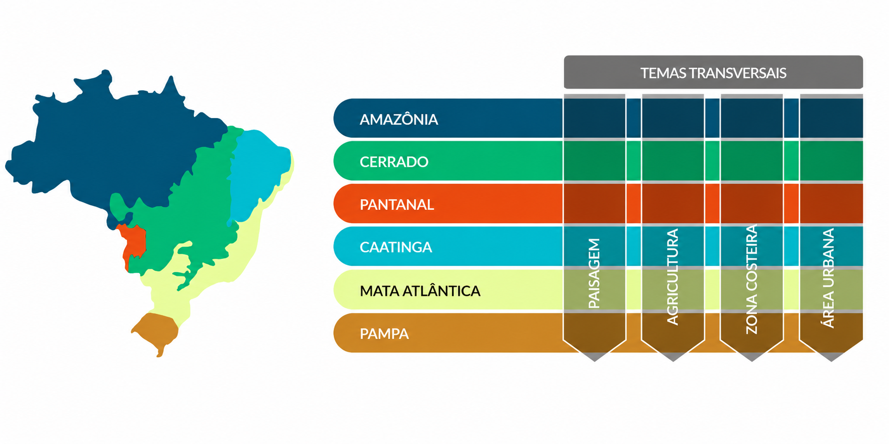 Organização por biomas e temas transversais no MapBiomas Brasil