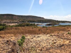 Mais de um quarto da vegetação nativa perdida no Cerrado desde 1985 estava em até 500 metros de rios
