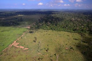 Agropecuária cresce 561% no entorno de áreas protegidas nos últimos 41 anos