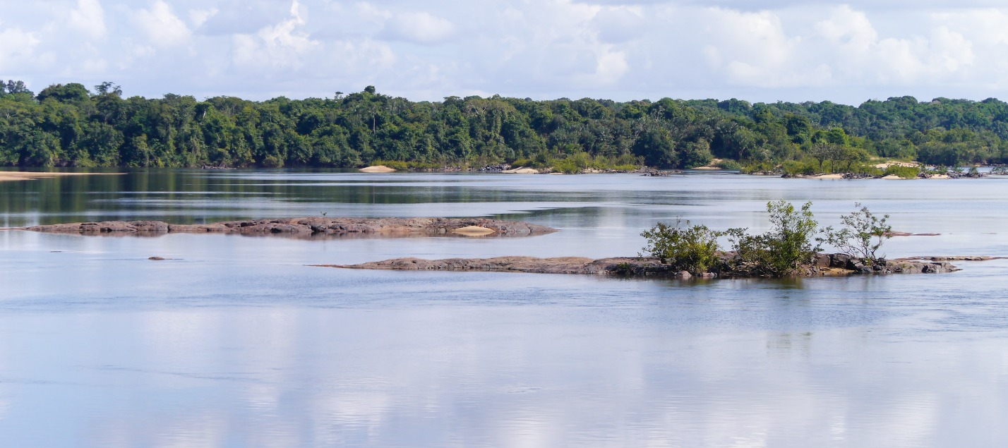 Imagens vetoriais Pará brazil