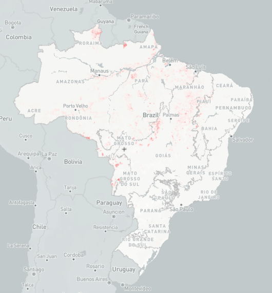 Monitor do Fogo: os dados entre janeiro e dezembro de 2023